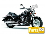 Inne dla Kawasaki VN 900 Classic Tourer B - 2013