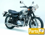 Options and accessories for the Kawasaki W 650 C - 2003