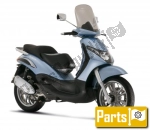 Piaggio Beverly 250 GT - 2005 | All parts