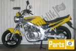 Motor for the Suzuki GS 500 EU - 1999