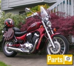 Suzuki VS 800 Intruder GL - 2000 | All parts