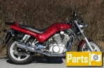 Motor per il Suzuki VX 800  - 1996