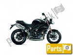 Standards for the Triumph Speed Triple 1050 EFI - 2009