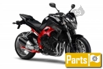 Yamaha FZ1 1000 Fazer SA - 2012 | Alle onderdelen