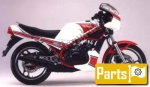 Oils, fluids and lubricants for the Yamaha RD 350 Ypvs LC - 1985