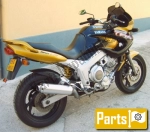 Oli, fluidi e lubrificanti voor de Yamaha TDM 850  - 1996