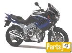 Options and accessories para el Yamaha TDM 850  - 1999