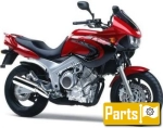 Opciones y accesorios para el Yamaha TDM 850  - 2000