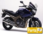 Yamaha TDM 900  - 2003 | Alle onderdelen