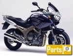 Yamaha TDM 900  - 2004 | Tutte le ricambi