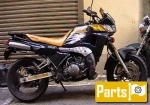 Yamaha TDR 250  - 1990 | Alle onderdelen