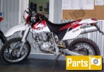 Mantenimiento, piezas de desgaste para el Yamaha TT 600 R - 1998