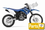 Ontsteking en dynamo pour le Yamaha TT-R 125 LWE - 2010