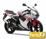 Options et accessoires pour le Yamaha TZR 50  - 2008