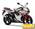 Yamaha TZR 50  - 2009 | Toutes les pièces