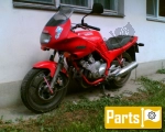 Yamaha XJ 600 Diversion SN - 1993 | Alle onderdelen