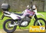 Yamaha XT 600 EH - 1996 | Toutes les pièces