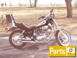 Options and accessories for the Yamaha XV 1100 Virago  - 1994