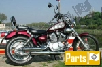 Others for the Yamaha XV 125 Virago H - 1998