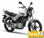 Oils, fluids and lubricants for the Yamaha YBR 125 Custom SPD - 2008