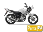 Yamaha YBR 125 Custom SPD - 2010 | Todas las piezas