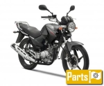 Yamaha YBR 125 ED - 2014 | All parts