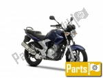 Yamaha YBR 250  - 2009 | All parts