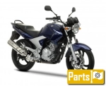 Yamaha YBR 250  - 2011 | All parts