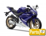 Abiti para el Yamaha Yzf-r 125 Anniversary  - 2012