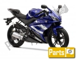 Options and accessories voor de Yamaha Yzf-r 125  - 2010