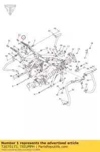 triumph T2070173 assemblaggio telaio americhe - Il fondo