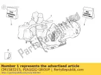 CM1583215, Piaggio Group, 300 4t / 4v e3 s.city eng. aprilia derbi rambla sport city cube sport city street 250 300 2008 2010 2012, Nuovo