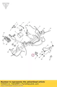 triumph T2500113 corno assy, ??hi-tone - Il fondo