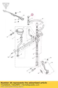 triumph T3250026 bout, banjo, m10x1.25x22 - Onderkant