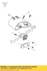 Tutaj możesz zamówić zespó? ? Wiat? A, ty?, led od Triumph , z numerem części T2700515: