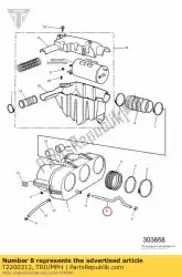 Qui puoi ordinare tubo di sfiato da Triumph , con numero parte T2200312: