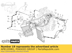 Aprilia AP8120981, Waterslang koelers, OEM: Aprilia AP8120981