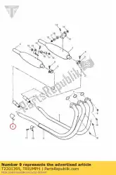 Ici, vous pouvez commander le couvercle de la bride d'échappement cr auprès de Triumph , avec le numéro de pièce T2201395: