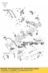 triumph T2500267 écu de retenue de plaquette - La partie au fond