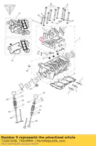 triumph T3201038 parafuso, rhhf, m6 x 60, 10,9 bruto - Lado inferior