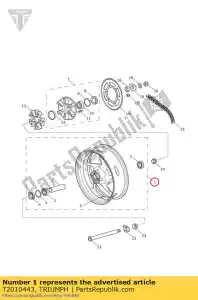 triumph T2010443 wheelrear17xmt5.5 - Lado inferior