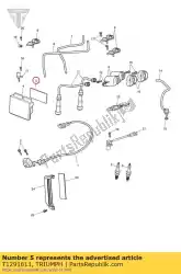 Qui puoi ordinare tampone in schiuma ecm da Triumph , con numero parte T1291611: