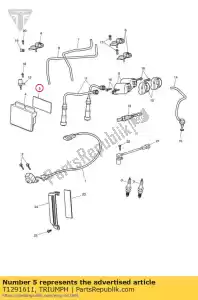 triumph T1291611 tampone in schiuma ecm - Il fondo