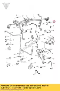 triumph T2500794 druciany uchwyt kablowy - Dół
