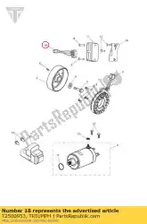 Qui puoi ordinare collegare il cavo dell'alternatore da Triumph , con numero parte T2500953: