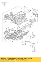 T1161060, Triumph, c / boîtier assy, ??pièces de rechange, pntd triumph speed triple speed triple 210445 > 461331 sprint st 208167 > 1050 2005 2006 2007 2008 2009 2010 2011 2012, Nouveau