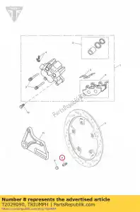 triumph T2029090 kit de rechange disque bol - La partie au fond