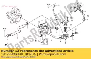 honda 19529MBBD40 tubo flessibile, rr. testa d'acqua - Il fondo