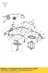 Here you can order the baffle fuel pump from Triumph, with part number T2401840: