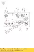 T2500882, Triumph, blocco assy, ??posto triumph daytona 595 / 955i daytona 955i 132513 > speed triple speed triple 141872 > 210444 speed triple 210445 > 461331 speed triple 885cc955cc (efi) > 141871 tiger 1050 955 1050 1997 1998 1999 2000 2001 2002 2003 2004 2005 2006 2007 2008 2009, Nuovo